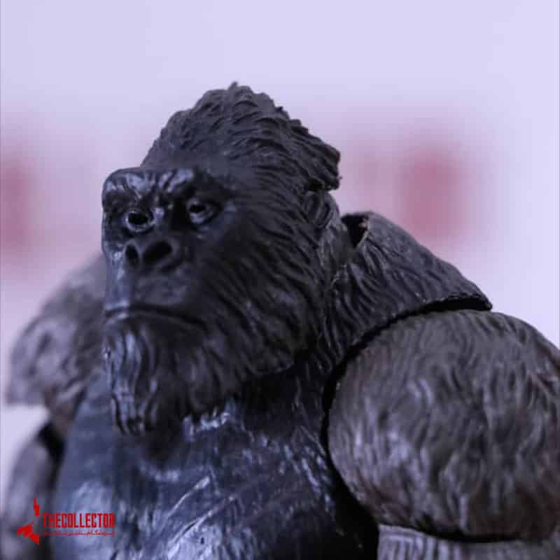 کینگ کونگ King Kong گودزیلا