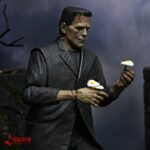 فرانکنشتاین Frankenstein نکا