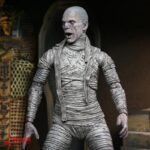 مومیایی The Mummy نکا