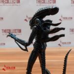 بیگانه Alien التیمیت نکا