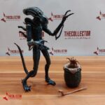 بیگانه Alien التیمیت نکا