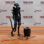 بیگانه Alien التیمیت نکا